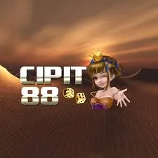cipit88 pgg68